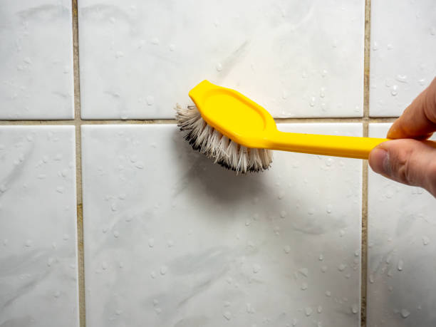 Best Preventive Mold Services in Boling, TX