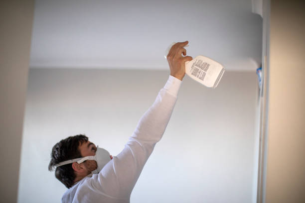 Best Localized Mold Remediation (e.g., coastal areas, humid climates) in Boling, TX