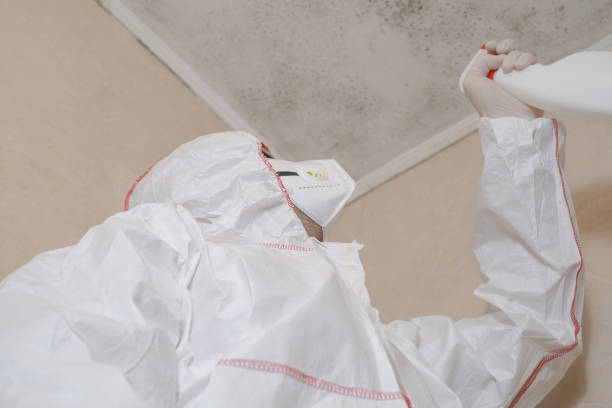 Best Mold Testing and Inspection Services in Boling, TX